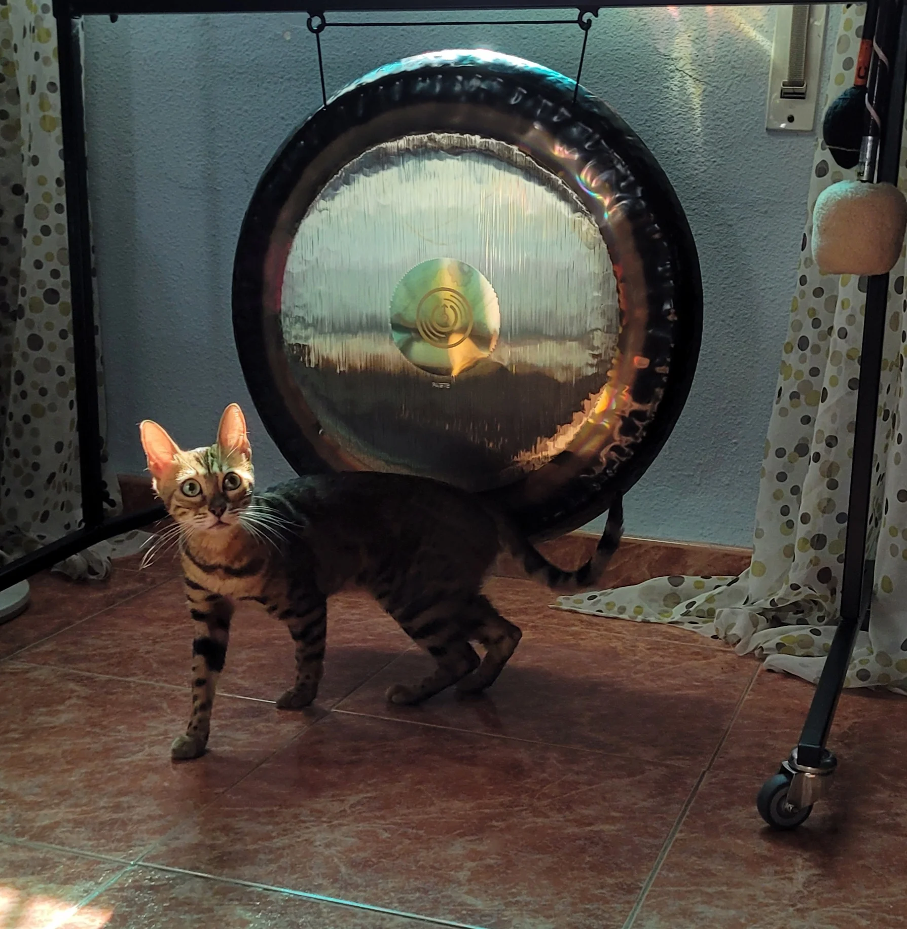 belen jimenez taller gong